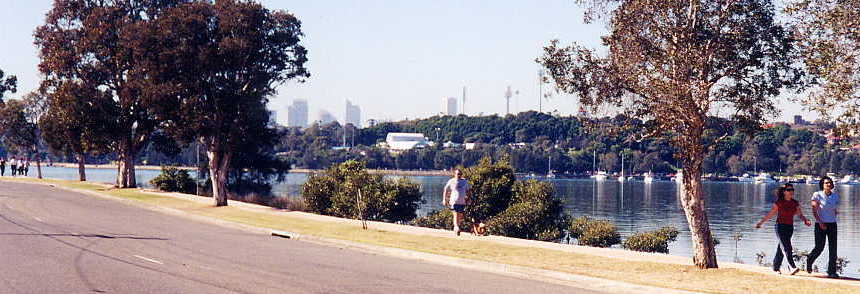 The Bay run/walk/cycle track on Iron Cove.